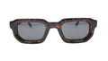Black Tortoise Jessie