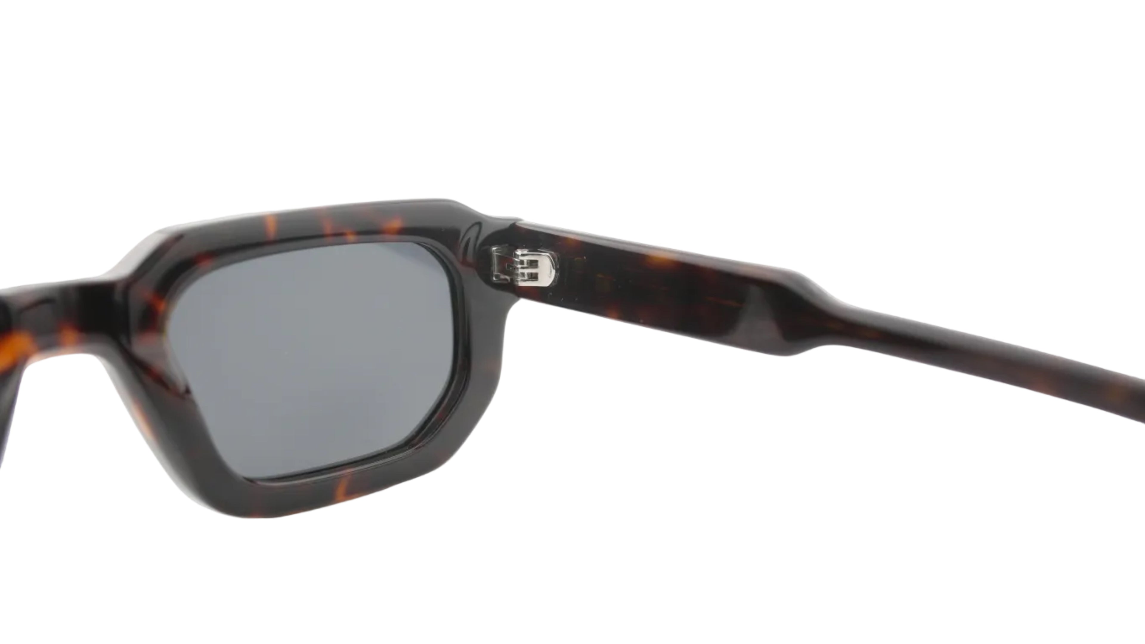 Black Tortoise Jessie